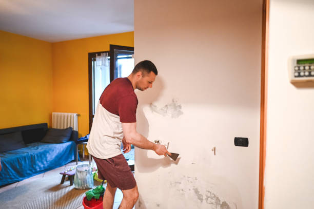 Best Mold Removal and Inspection  in Sissonville, WV